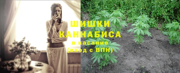 бошки Арсеньев