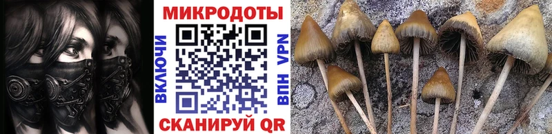 мориарти какой сайт  Унеча  Псилоцибиновые грибы GOLDEN TEACHER 